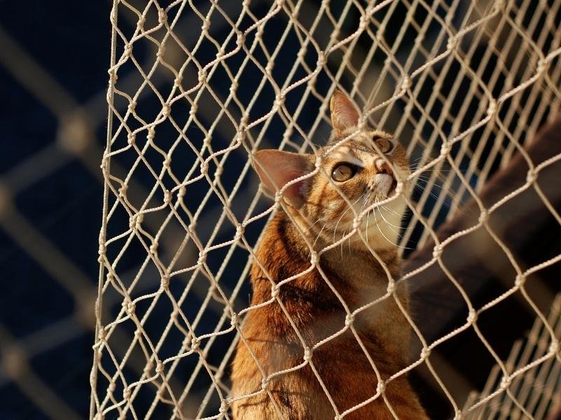 Redes de segurança em prédios em Ponta Grossa